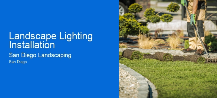 Landscape Lighting Installation