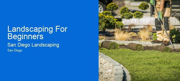 Landscaping For Beginners