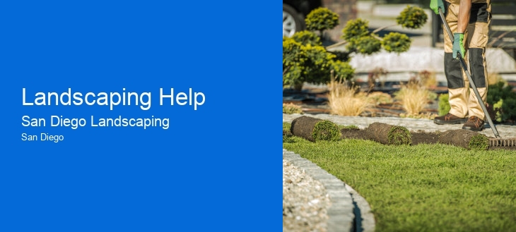 Landscaping Help