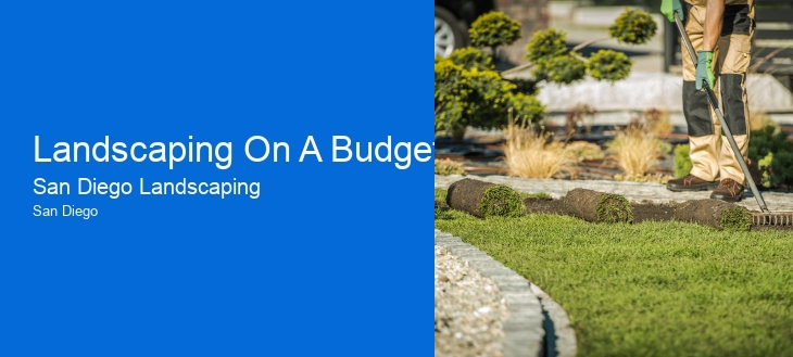 Landscaping On A Budget