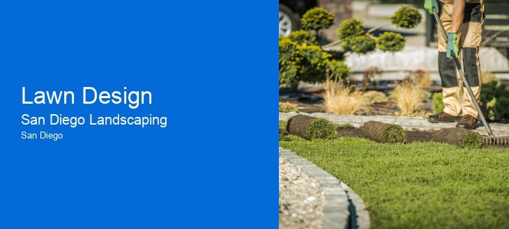 Lawn Design