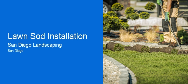 Lawn Sod Installation