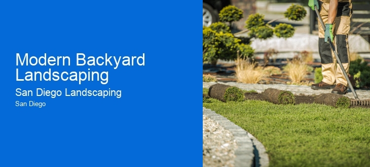 Modern Backyard Landscaping
