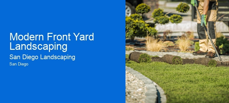 Modern Front Yard Landscaping