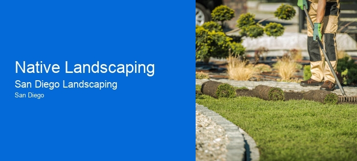 Native Landscaping