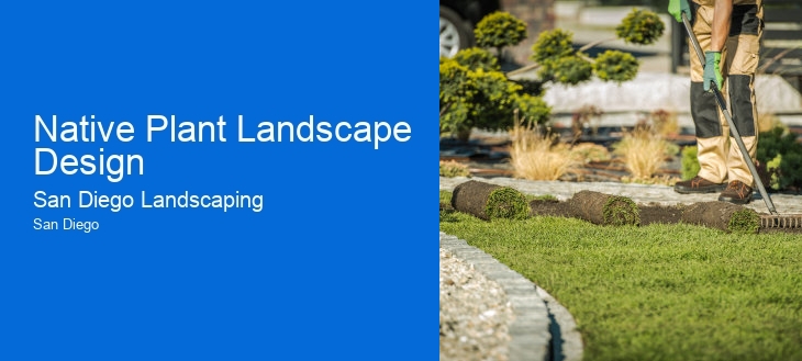 Native Plant Landscape Design