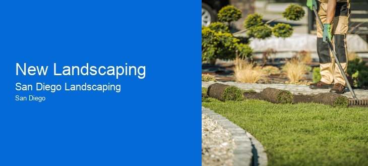 New Landscaping