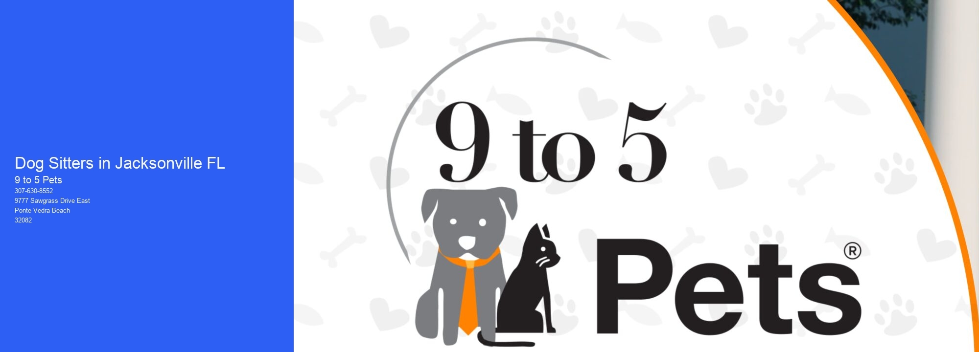 Dog Sitters in Jacksonville FL
