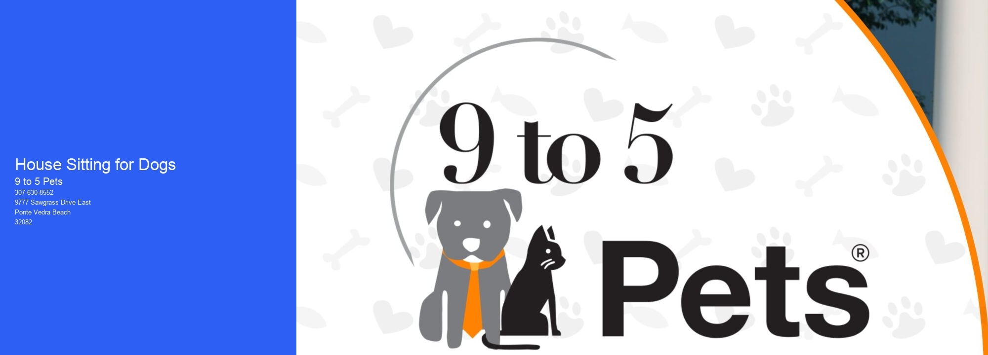 House Sitting for Dogs