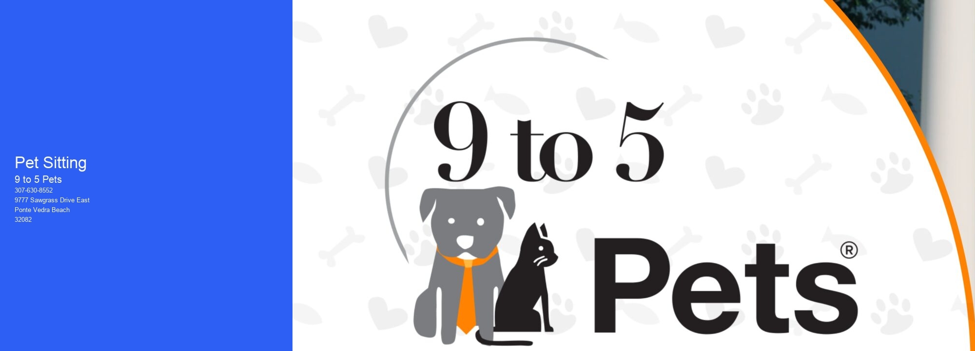 Pet Sitting