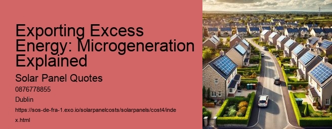 Evaluating the Effectiveness of Solar Water Heating in Ireland  