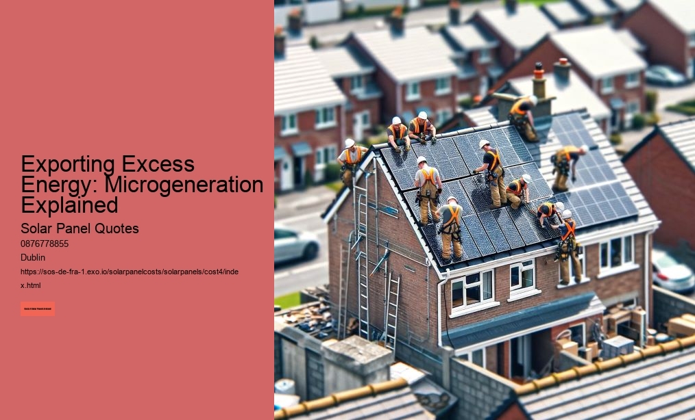 Exporting Excess Energy: Microgeneration Explained