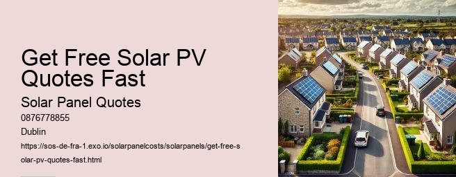 Assessing Solar Panel Quality and Customer Service